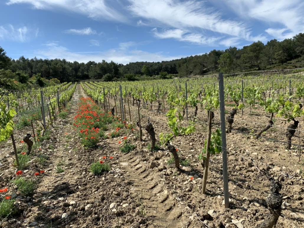 Domaine de Trevallon Domaine de Trevallon