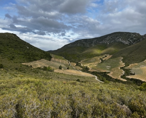 Clos del rey Clos del rey