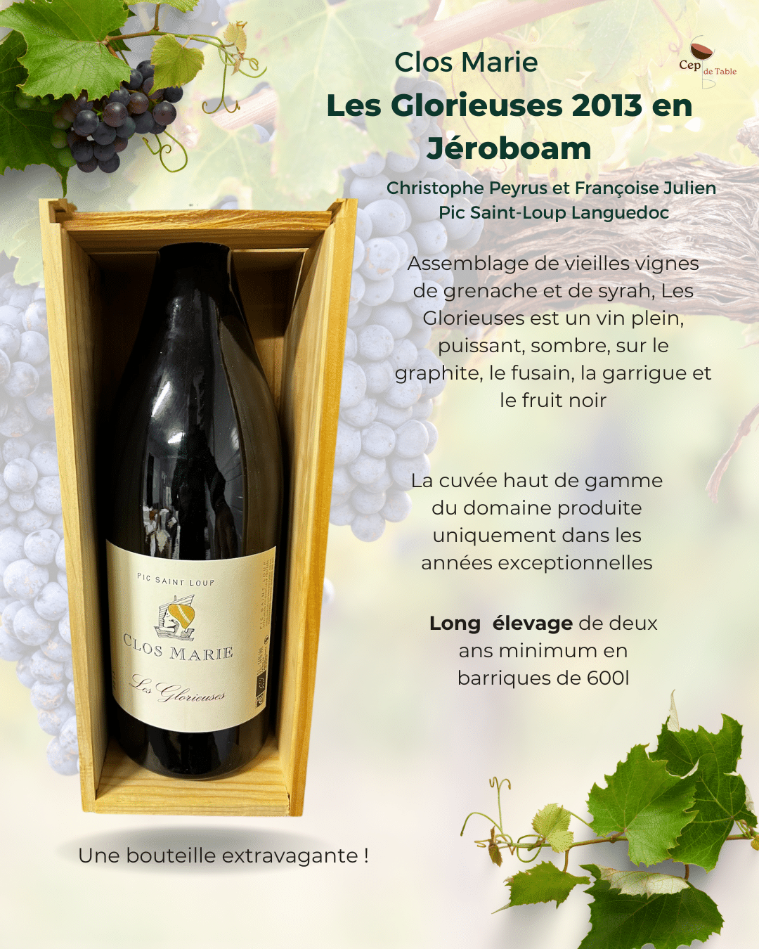 Clos Marie Glorieuses 2013 en JEROBOAM