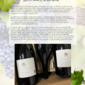 Clos Marie Les Metairies du Clos 2018 en Magnum