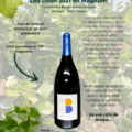 Clos des B Lou Dilun 2021 en Magnum
