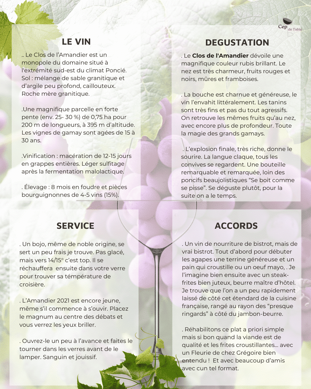 Gregoire Hoppenot Fleurie Clos de l'Amandier 2022 MAGNUM