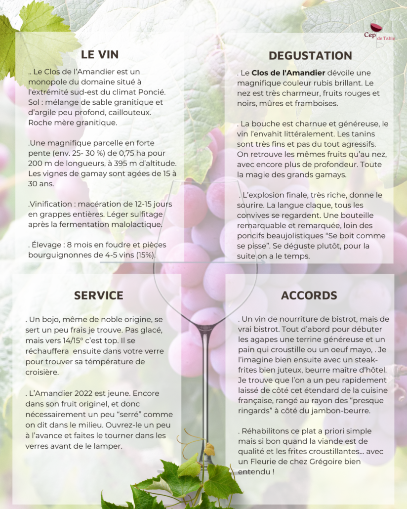 Gregoire Hoppenot Fleurie Clos de l'Amandier 2022