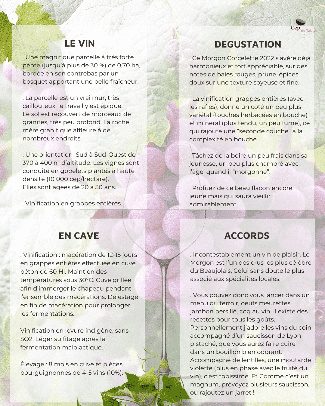 Gregoire Hoppenot Morgon Corcelette 2022 magnum