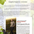 Gregoire Hoppenot Morgon Corcelette 2022 magnum