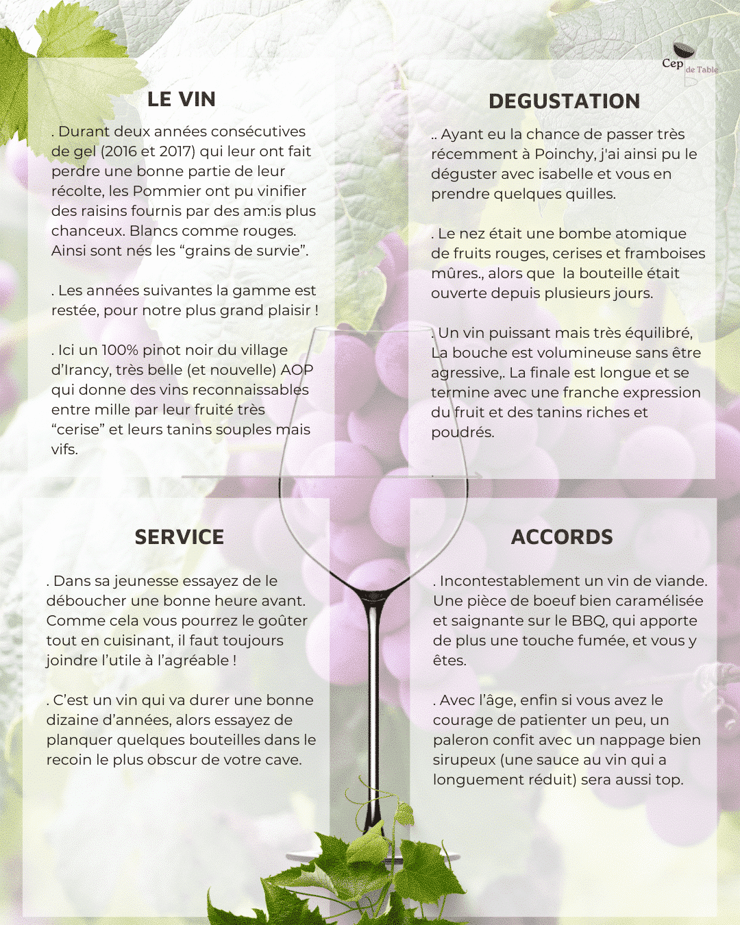 Isabelle et Denis Pommier Irancy 2021