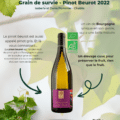 sabelle et Denis Pommier Pinot Beurot 2022