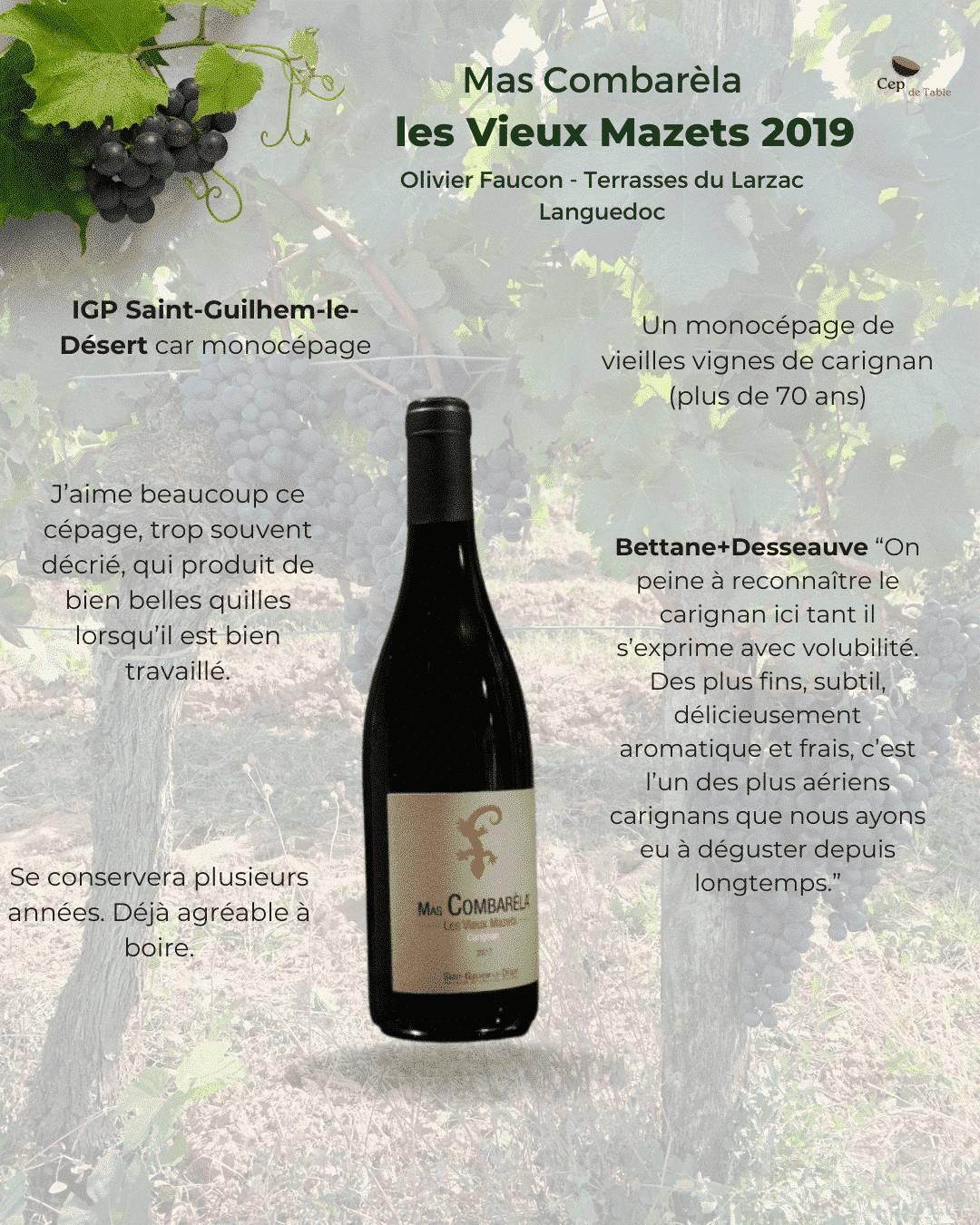 MAS COMBARELA Les Vieux Mazets 2019
