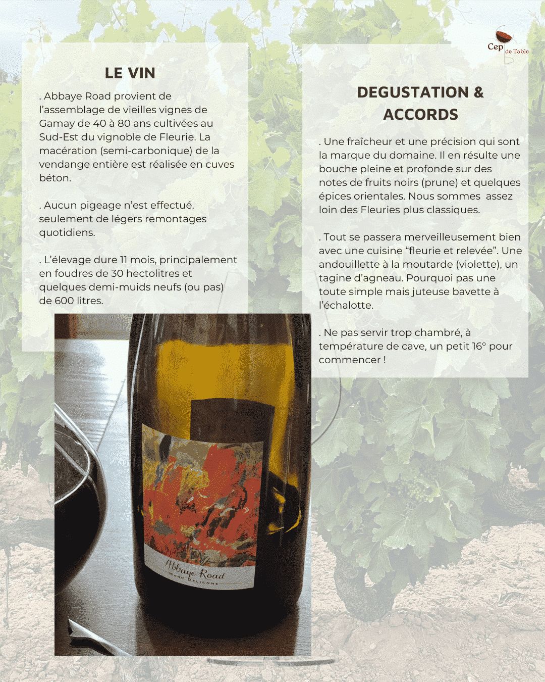 Marc DELIENNE Fleurie ABBAYE ROAD 2018 en Magnum