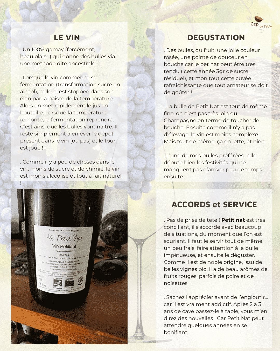 Marc Delienne Petit Nat 2022