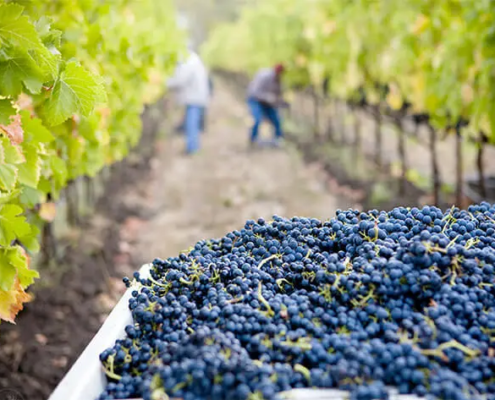 Domaine Vendome Domaine Vendome