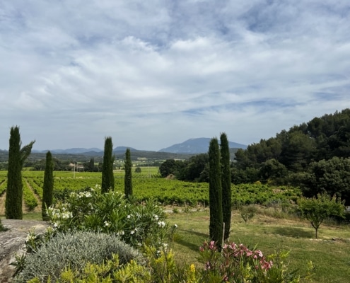 Domaine Laurens Le vignoble des Templiers Domaine Laurens Le vignoble des Templiers