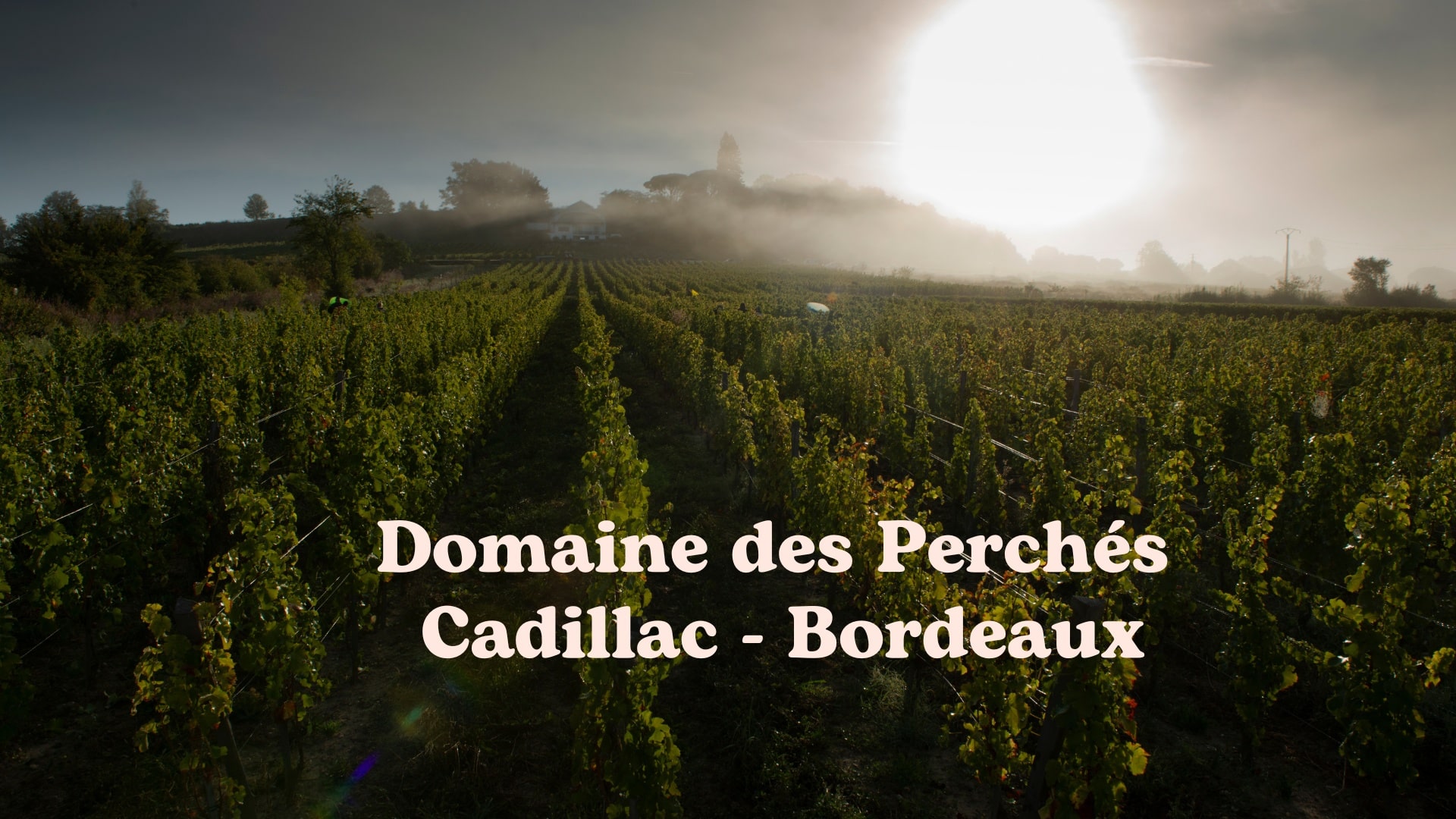 Domaines des Perchés