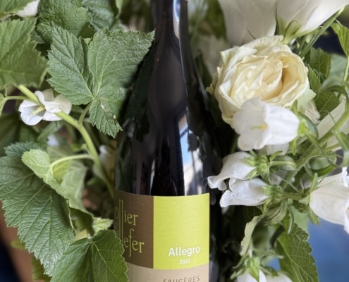 OLLIER TAILLEFER FAUGÈRES ALLEGRO 2023 OLLIER TAILLEFER FAUGÈRES ALLEGRO 2023