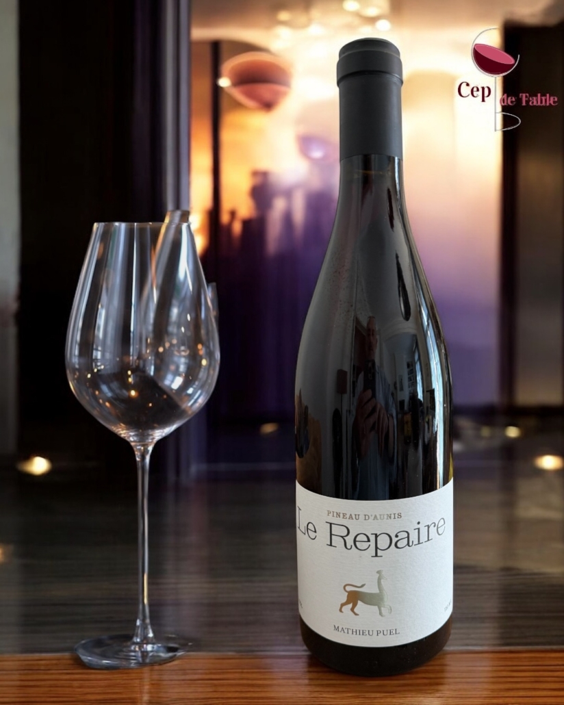Repaire Mas Segur Pineau d'Aunis 2024