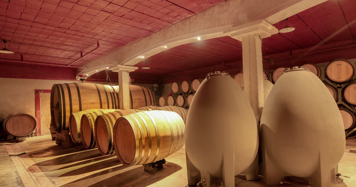 la cave de Chante Cigale la cave de Chante Cigale