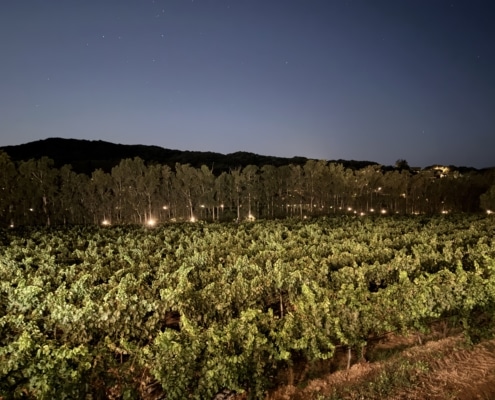 Domaine Peretti Della Rocca