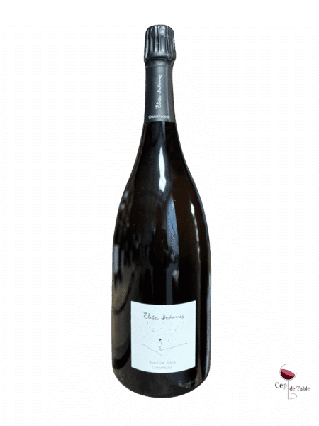 ELISE DECHANNES LES CONFIDENTIELLES ABSOLUE GRÈS EN MAGNUM