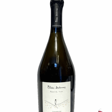 ELISE DECHANNES LES CONFIDENTIELLES ABSOLUE TERRE