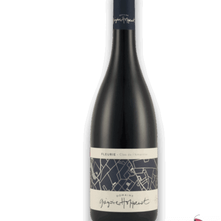 Gregoire-Hoppenot-Fleurie-Clos-de-lAmandier-2022