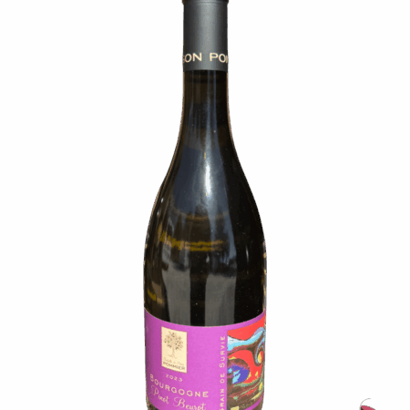 Isabelle et Denis Pommier Pinot Beurot 2023