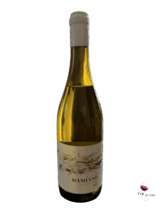 Maison Damiano Côtes du Rhone blanc 2024