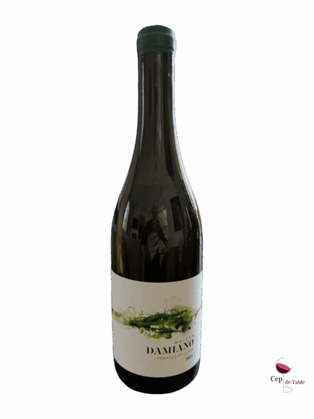 Maison Damiano Penates et Lares 2024