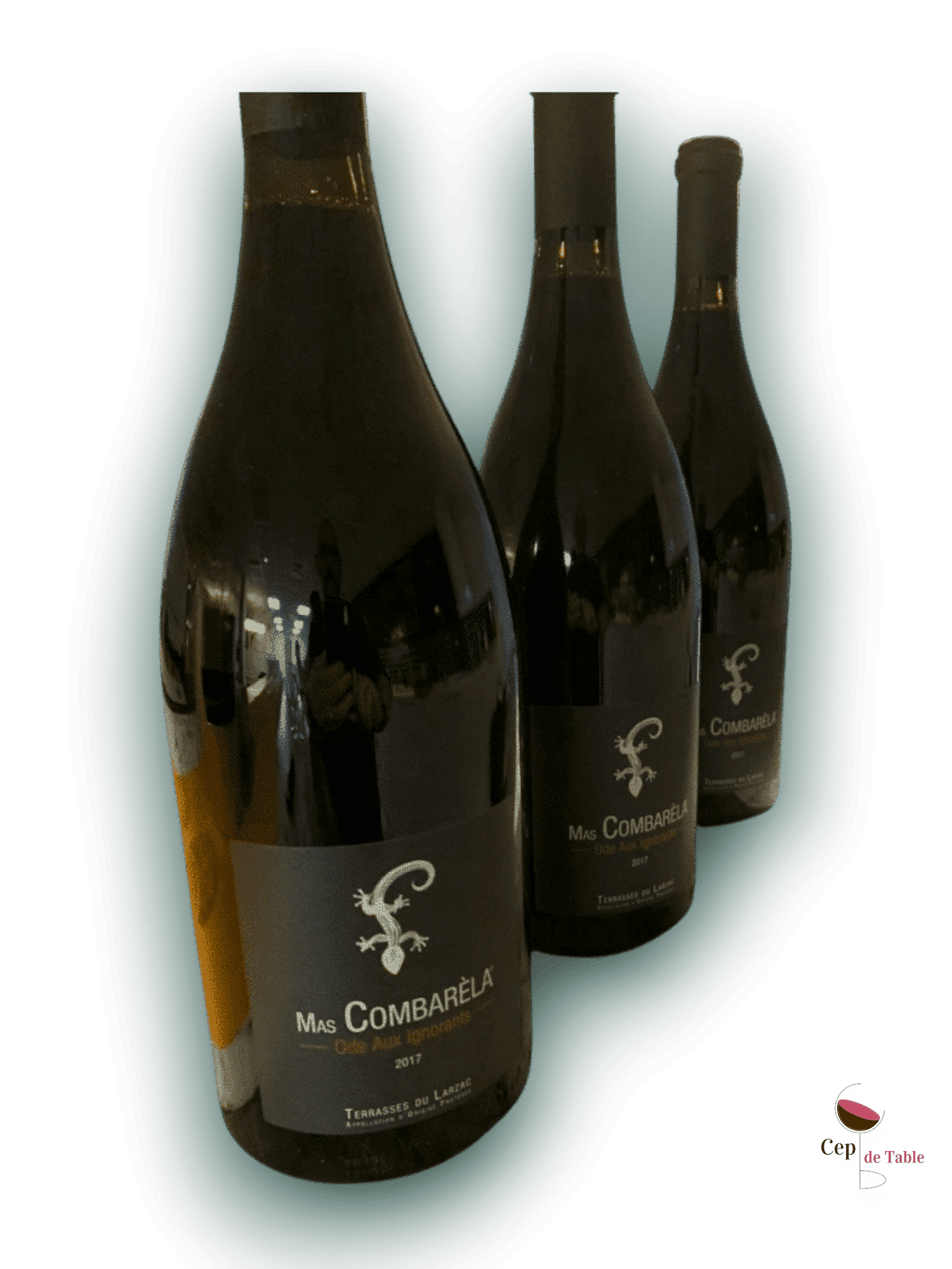 Mas-Combarela-Ode-aux-Ignorants-2017-magnum