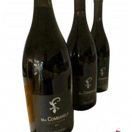 Mas-Combarela-Ode-aux-Ignorants-2017-magnum