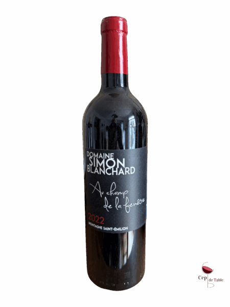 Simon Blanchard Au champ de la fenêtre 2022