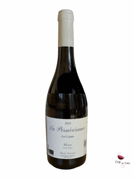 La Persévérance La Cointe 2024 La Persévérance La Cointe 2024