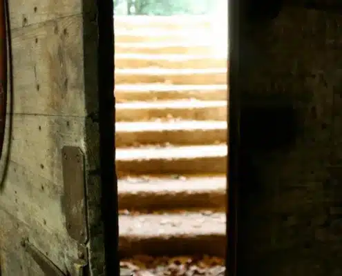 Domaines des Hauts Chassis Domaines des Hauts Chassis