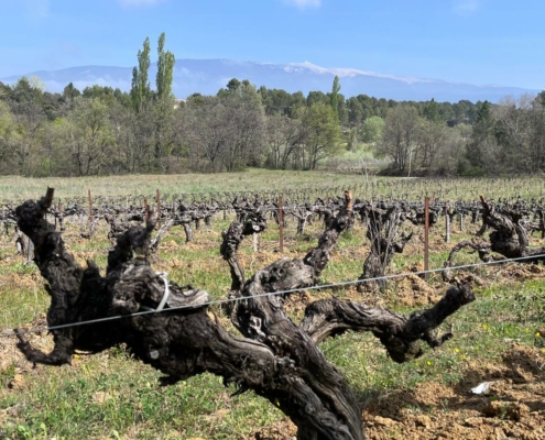 La Persévérance La Persévérance