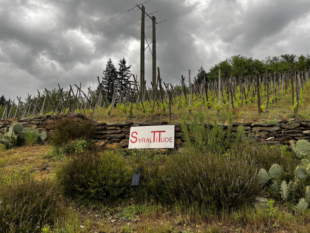 Syraltitude Syraltitude