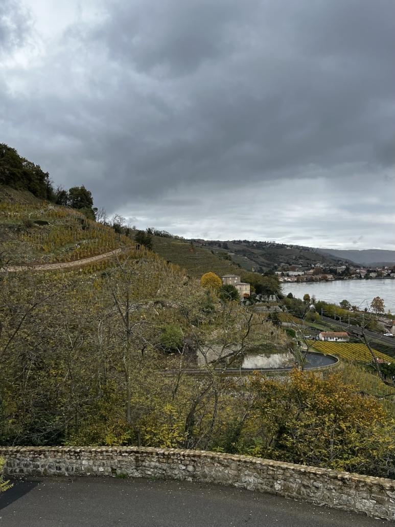 Domaines Merlin Domaines Merlin