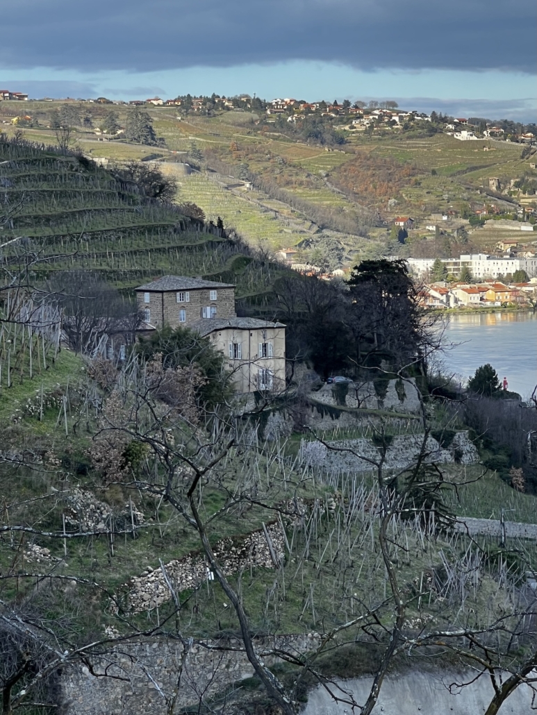 Domaines Merlin Domaines Merlin